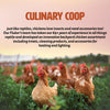 Culinary Coop Premium Chicken Treats - Dried Mealworm, 3.5oz