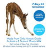 Equa Holistics HealthyGut Foal Kit for Horses Dietary Supplement, All-Natural Formula (14 g)