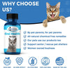 BestLife4Pets Oral Health for Cats - Cat Dental Care Supplement Anti inflammatory Pain Relief for Stomatitis Gingivitis and Gum Disease Cat Supplies for Dental Care - Easy to Use Pills