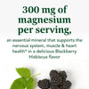 MegaFood Relax + Calm Magnesium Powder - Highly Absorbable Magnesium Glycinate, Magnesium Citrate & Magnesium Malate - Without 9 Food Allergens - BlackBerry Hibiscus Oasis - 7.05 Oz (50 Servings)