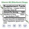 Vitamin B2 (Riboflavin) Drops, B Vitamin Liquid to Support Digestion, Blood Cells & Nervous System, Liquid Vitamins for Hair, Skin and Nails, Alcohol-Free, Non-GMO Riboflavin Extract, 1 Fl Oz.