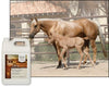 UltraCruz - sc-395351 Flax Oil Blend Supplement for Horses and Livestock, 1 Gallon