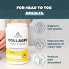 Ancient Nutrition Collagen Peptides, Collagen Peptides Powder, Vanilla Hydrolyzed Collagen, Supports Healthy Skin, Joints, Gut, Keto and Paleo Friendly, 12 Servings, 20g Collagen per Serving