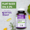 New Chapter Vegan DHA, EPA, and DPA Supplement- Vegan Omega-3 Complex- 30 Vegan Softgels