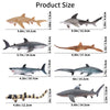 Toymany 8PCS Shark Toys Figurines, Realistic Sea Creatures Shark Toy for Kids 3-5 6-12, Ocean Sea Animal for Boy Girl Baby Shark Cake Topper Educational Figures (5 * 3IN)