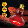 REPTIZOO Reptile Dual Lamp Fixture Heat Lamp Bulb Combo Pack Includes 100W UVA Daylight Heating Lamp and 100W Infrared Heat Emitter Infrared Basking Spot