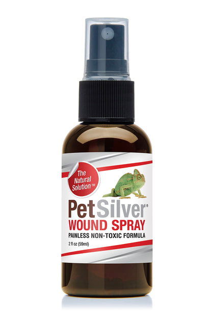 PetSilver Wound Reptile, Snake & Lizard Formula with Chelated Silver - Made in USA - Vet Formulated - Natural Pain Free Formula - Relief Support for Skin Issues, Sores, Scale Rot 2 fl oz