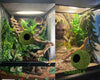 USMOLA Mossy Caves, Artificial Green Moss Caves Hide for Pet Reptile Frogs and Snakes, Terrarium & Vivarium Decor, Crested Gecko Tank Decor (4