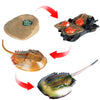 Momoplay Horseshoe Crab Life Cycle,Marine Animal Figurine Toys,Animals Life Cycle Set Great for Learning,Cake Toppers,Goodie Bag Fillers (Horseshoe Crab)