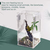 BETAZOOER Acrylic Mini Reptile Tank Habitat Transparent Terrariums with Locking Latch Suitable for Tarantula Isopod Roach Invertebrates (4''x4''x8'')