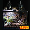 ReptiKing Reptile Light Fixture, 2-Pack 5.5'' Deep Dome for Reptile Light/Heat Lamp/UVB Light, Terrarium Light Dome