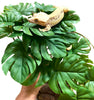 Woyrise Reptile Artificial Plants for Terrarium, Amphibian Habitat Decor Plant, Bearded Dragon Tank Decorations fit Gecko Lizard Chameleon Ball Python Snake Frog - Monstera