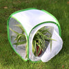 RESTCLOUD Insect and Butterfly Habitat Cage Terrarium Pop-up 12 X 12 X 12 Inches, Polyester Bottom for Easier Clean