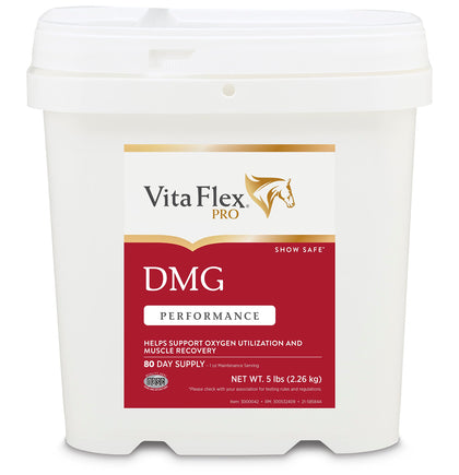 Vita Flex Pro DMG 1500 Horse DMG Supplement 5 Pounds, 80-Day Supply