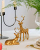 DN DECONATION 2PCS Christmas Resin Reindeer Figurines Small Gold Deer Decorative Statues Resting Lucky Deer Sculptures for Indoor Home Decor Tabletop Mantle Cabinet Desktop Office