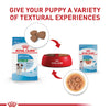Royal Canin Size Health Nutrition Small Puppy Chunks in Gravy Wet Dog Food, 3 oz pouch (12-count)
