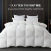 WhatsBedding Queen Goose Feather Comforter, Filled with Feather and Down, All Season White Queen Size Luxury Bed Comforter,Ultra Soft 100% Cotton Duvet Insert,90