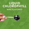 Nature's Way Chlorofresh, Liquid Chlorophyll, Supports Healthy Skin & Body Detox*, Internal Deodorant*, Mint Flavored, 16 Fl. Oz (Packaging May Vary)