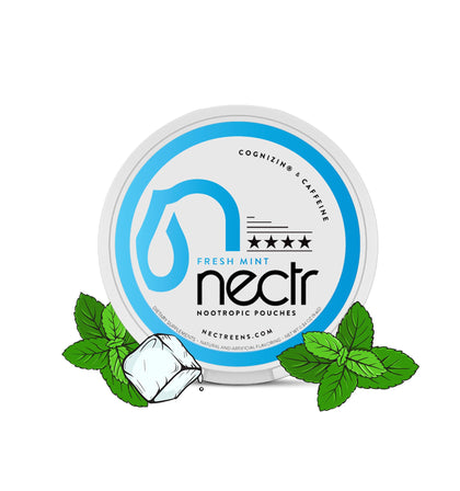 NECTR Nootropic Energy Pouches  Fresh Mint  Cognizin  Caffeine  16 pouches  Nicotine Free  Sugar Free  1 Can