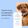 Wisdom Panel Breed Discovery Dog DNA Kit: Most Accurate Dog Breed Identification, Test for 365+ Breeds, MDR1 Health Test, Ancestry, Relatives