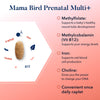Mama Bird Prenatal Vitamin, Methylated Prenatal Vitamins, Organic Blend, Vegan, Methylfolate (Folic Acid for Pregnant Women), B12, Bonus Healthy Pregnancy Secrets, Once Daily, 30 Ct