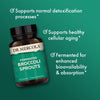 Dr. Mercola Fermented Broccoli Sprouts, 30 Servings (30 Capsules), Dietary Supplement, Supports Detoxification Processes, Fermented Nutrients, Non-GMO