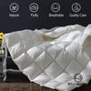 WhatsBedding Fluffy White Goose Feather Down Comforter Queen Size, All Season Down Duvet Insert Luxury Hotel Collection 750 FP, Ultra Soft Organic Silky Cotton Fabric, 4 Corner Tabs, 90x90 in