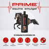 Summit Animal Health Prime Equine - Horse Emulgel Topical Natural Joint & Muscle Pain Relief for Recovery and Performance, Better Than Liniment - Veterinary Gel That Treats The Root Cause (32 OZ)