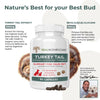 Turkey Tail Pet Support - Dog Multivitamins and Supplements for Immune Support, Gut Health & Wellness - Grain-Free, Gluten-Free, Vet-Approved Dog Supplement (90ct)