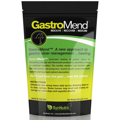 GastroMend Gastrointestinal Health Supplement for Horses, 100% Natural, Promotes Stomach and Gut Health in Equines, Cost-Effective Digestive Wellness, 30 Servings per Pouch, Made in The USA