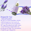 2 Packs Yoni Essential Oil for Women, All Natural Feminine Intimate Deodorant Remove Odor, Ph Balanced, 100% Vaginal Serum Made with Rose Lavender Oils (1 fl oz/30 ml)