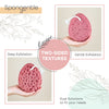 Spongentle Deep Cleansing Foam Body Loofah Sponge, Natural Colors, for Bath and Shower, Multiple Textures for Gentle and Deep Exfoliation, Generous and Rich Lather, (Pack of 2)