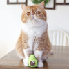 Catstages Lil' Avocato Dental Health Catnip Cat Chew Toy