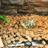 2 Pack Reptile Under Tank Heating Pad, Hermit Crab Heater with Temperature Control, Waterproof Adjustable Terrarium Heat Mat Warmer for Gecko Snake Lizard Turtle Tortoise Spider Frog (11 x 11 Inch)