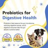 Dog Vitamins for Overall Health with Minerals, Multivitamins for Dogs for Immune Support, Digestive Health, Joint, Hip, Skin and Coat Care with Probiotics, Glucosamine, Enzymes, 120 Freeze Dried Chews