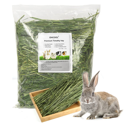 OHCOOL Timothy Hay 1.1 lbs - Dust Free Natural Green Fresh Food Hay for Rabbits Tortoise Guinea Pig Chinchilla