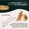 TRIBE ORGANICS Ashwagandha KSM 66 Pure Organic Root Powder Extract Ayurvedic Supplement - Focus Mood Support Increase Energy Strength 600mg of Natural KSM66 for Superior Absorption - 90 Capsules
