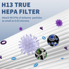 HPA300 HEPA Filter Replacement for Honeywell HPA300 Series Air Purifiers HPA300, HPA300VP, HPA304 HPA3300, Replace HRF-R3 (3 Ture HEPA R Replacement Filter + 4 Activated Carbon Pre-Filter)