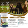 V-POINT - Laminitis Ease - hoof Supplements for Horses - Horse hoof Care Product Based on Natural Herbal Powder - Ideal for Hooves Health and Conditioning (1.0 lb)
