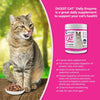 Vital Planet - Digest Cat Digestive Pancreatic Enzyme Blend with Pumpkin and Ginger to Support the Pancreas and Healthy Digestion with Pancreatin, Salmon Flavored Powder for Cats - 111 Grams 30 Scoops