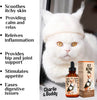 Charlie Buddy - H?mp Oil for Dogs Cats - Hi? and J?int Supp?rt and Skin H?alth - Anxi?ty, C?lm, P?in - Omega 3, 6, 9 and Vit?mins B, C, E