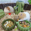 Zhilishu Hamster Food Bowl, 2 Packs Cactus Food & Water Bowls Ceramic Feeding Drinking Bowl Food Dish for Small Animals Gerbil Dwarf Hamster Rat Mice Guinea Pig(Green+Dark Green)