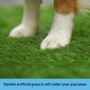 Oiyeefo Dog Grass pad with Tray,24x 16.5 Indoor Potty with 2 Packs Replacement Artificial Fake Grass-5 Packs Disposable Pads for Puppy Training, Apartment Use