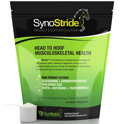 SynoStride All Natural, All-in-one, Joint Health Supplement for Horses, Powder with Glucosamine, Chondroitin, Hyaluronic Acid, Biotin, Methionine, Trace Minerals, Made in USA (1080 Grams)
