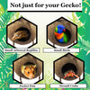 SunGrow Leopard Gecko Coconut Husk Hut with Ladder, with Shell Opening, Cave Habitat with Hanging Loop, 1 Pc per Pack