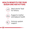 Royal Canin Feline Health Nutrition Mother & Babycat Ultra Soft Mousse in Sauce Canned Cat Food, 3 oz can (24-count)