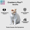 Cranberry Chews for Cats - UTI, Bladder, Kidney, & Urinary Tract Support - Cat Health Supplements Contain Cranberry Extract, Echinacea, Vitamin C, and Astragalus Root - 60 Soft Treats