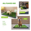 Dewonch Dog Artificial Grass Pad with Tray for Puppy Potty Training, Fake Turf Patch & Washable Pee Pad Pet Loo for Small and Medium Dogs, Indoor or Outdoor Use (Potty System 35.4 x 23.6)