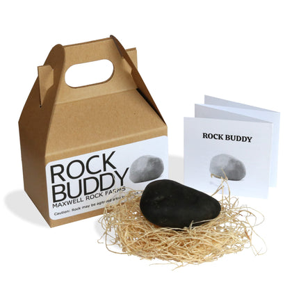 Rock Buddy with Full Training Manual and Bedding