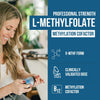 L Methyl Folate 15mg plus Methyl B12 Cofactor - Professional Strength, Active 5-MTHF Form - Supports Mood, Methylation, Cognition - Bioactive forms of Vitamin B9 & B12 (60 Capsules)
